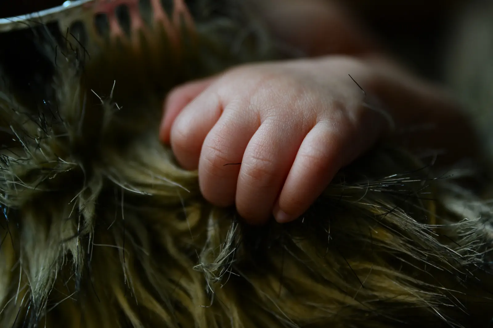 Close-up of a newborn hand